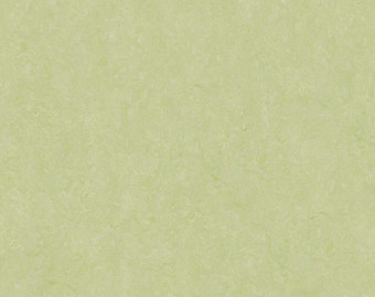 [100111111_23] Marmoleum Real - 3881 green wellness